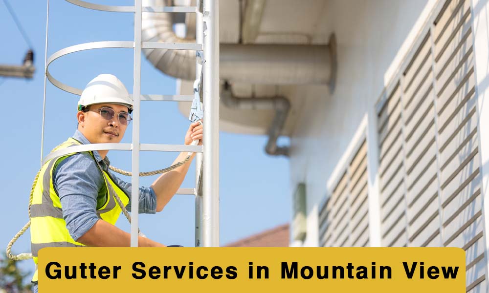 Gutter Services in Mountain View