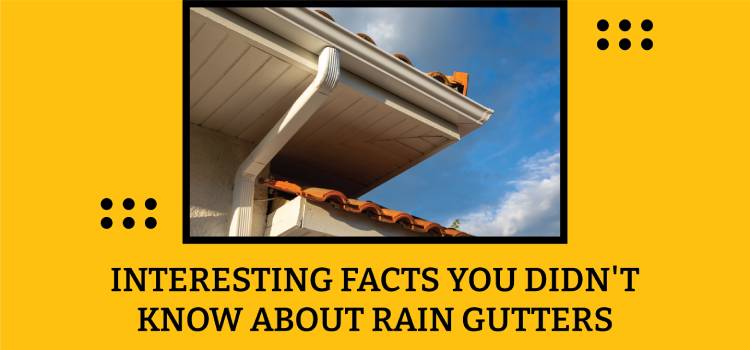 Interesting Facts You Didn't Know About Rain Gutters